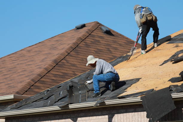 Best Roof Ventilation Installation  in Lake Of The Woods, VA
