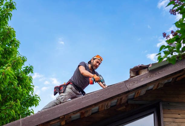 Best Metal Roofing Installation  in Lake Of The Woods, VA