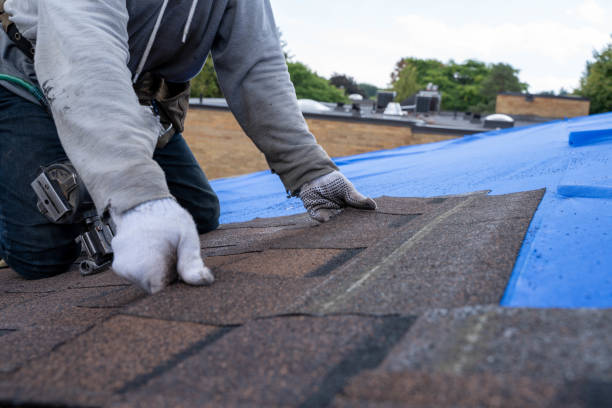 Waterproofing in Lake Of The Woods, VA
