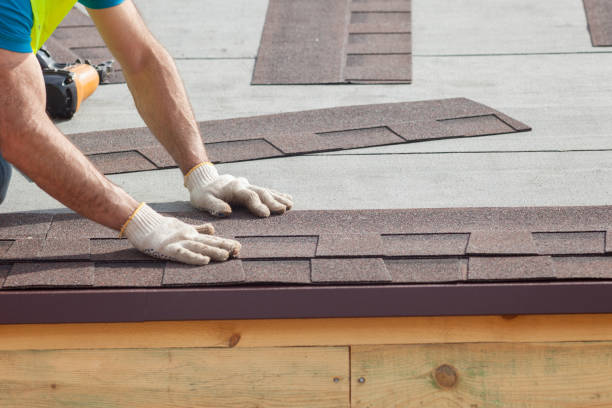 Best Sheet Metal Roofing  in Lake Of The Woods, VA